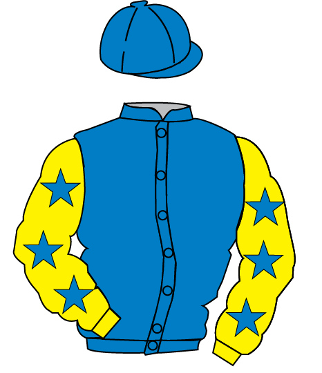 The Picnic Party And The Tiptop Team